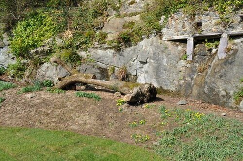 Château Rhianfa, Забронировать Гостевой дом Менай-Бридж Anglesey