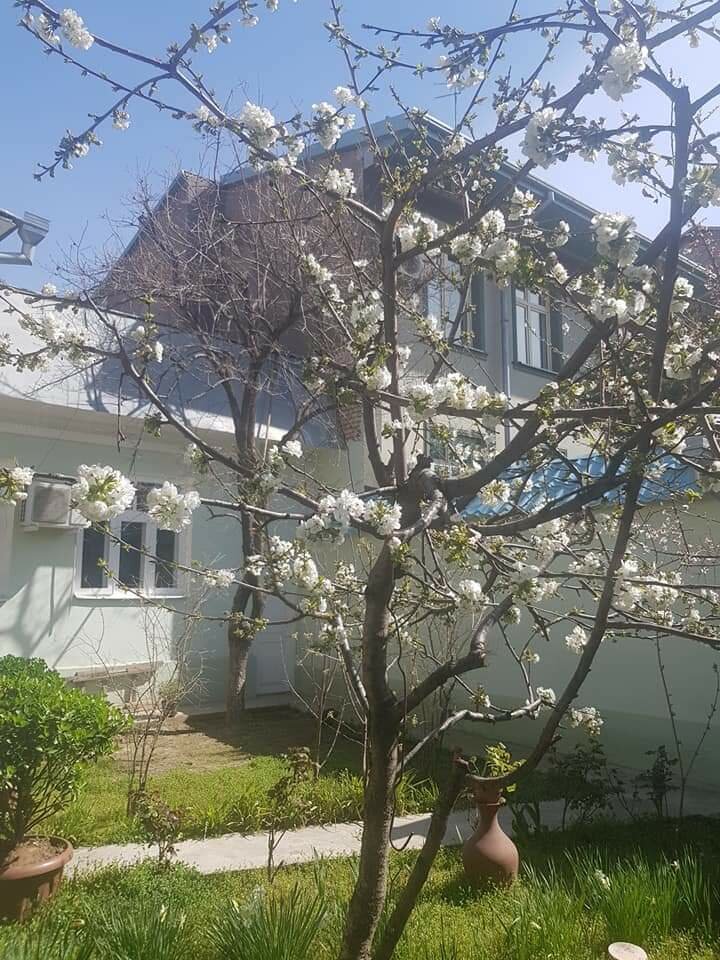 Al Amin Guest House
