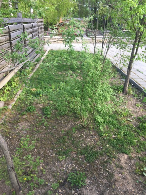 Мини-Отель Лофт в лесу