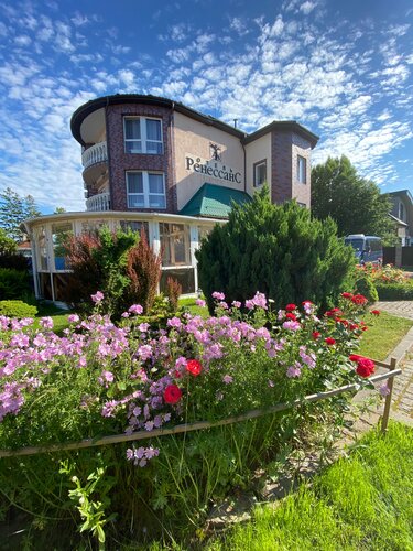 Renesance Hotel, 予約 ホテル ゼレノグラーツク 