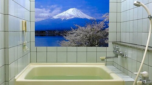 Fujiwara Ryokan Hotel