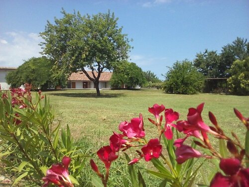 Agriturismo Il Pettirosso