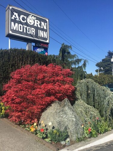 Acorn Motor Inn, Rezerwuj Hotel Oak Harbor 