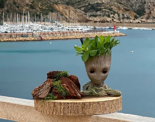 Nomad Hotel - Xábia Port, Забронировать Отель Хавеа Коста-Бланка, рядом с Cala Tango