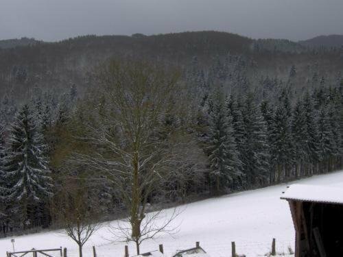 Gasthof-Pension Waldfrieden, Забронировать Отель Отели земли Гессена с парковкой, Парковка
