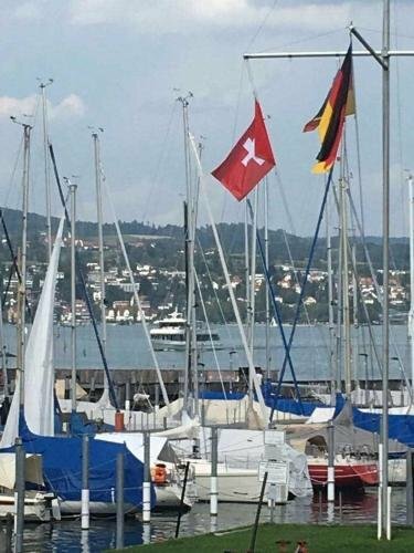 Landhotel Bodensee, Забронировать Отель Отели Зипплинген с завтраком, Завтраки