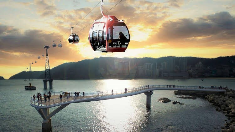 Busan Beach Tourist	