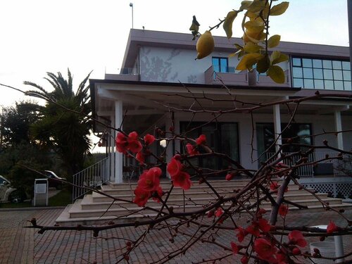 Hotel Parco degli Ulivi, Забронировать Отель Шерне Побережье Абруццо