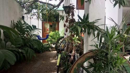 Yoho Hotel Planet Residency, Забронировать Отель Отели Округа Галле с парковкой, Парковка