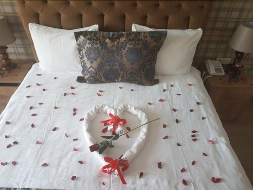 Sedapark Hotel, Book Hotel Hoteller i Biga med parkering, Parkering