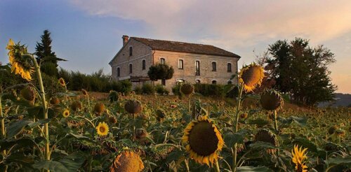 Piagge del Sole, Забронировать Отель Монтекаротто Марке