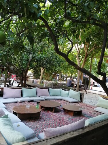 Bayrams Tree Houses