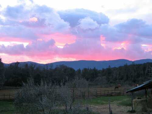Agriturismo I Pianali, Забронировать Отель Сиена Siena Area