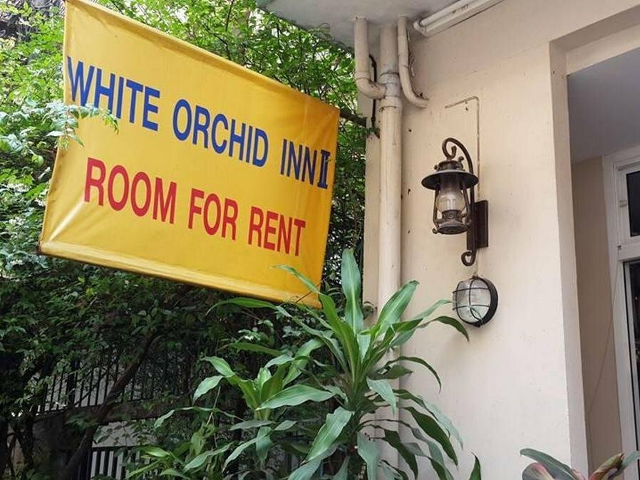 White Orchid Inn II