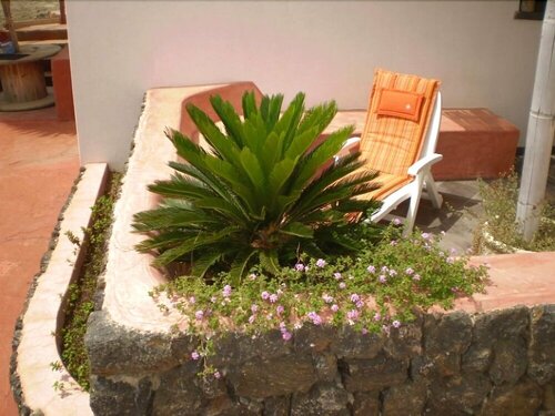 Residenza Venus Dream, Book  Pantelleria Pantelleria