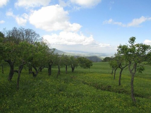 Masseria Salecchia, Забронировать Фермерский дом Бовино Апулия