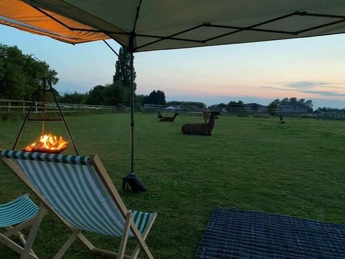 Glamping With Llamas, Забронировать Кемпинг Уисбек Кембриджшир