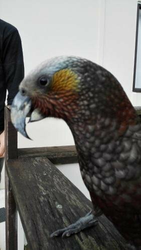 Stewart Island Backpackers, Забронировать Отель  