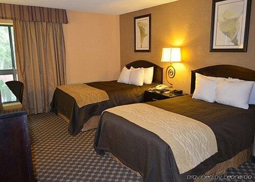 Comfort Inn Ithaca, Rezerwuj Hotel Ithaca Cayuga Lake Wine Trail