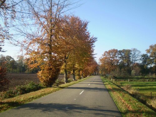 Hotel & Restaurant 'T Holt, Rezervovat Hotel Diepenheim Twente