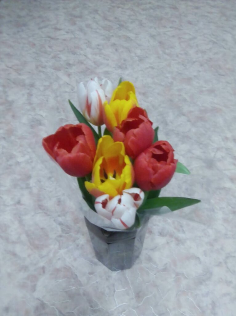 Бренсон