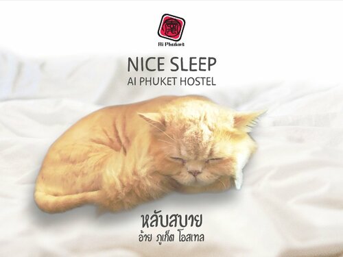 Hawa House Phuket, Κράτηση Χοστέλ Πουκέτ Πόλη South Thailand