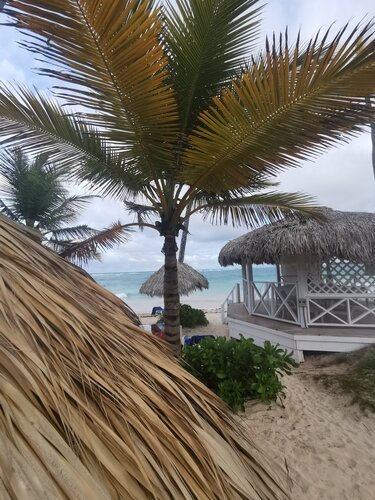 Vik Hotel Arena Blanca  VIK Hotel Cayena Beach, Забронировать Отель Отели Баваро с парковкой, Парковка