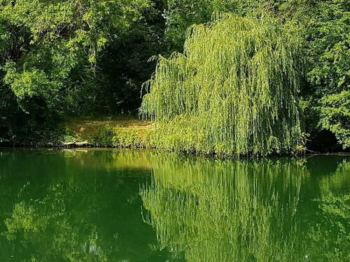 Face au Jardin, Забронировать Отель Коньяк Charente, рядом с Городской сад Коньяка