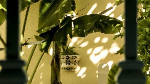 Hostal Campo Nuevo, Varaa Hostelli Huelva hostellit, Hostelli