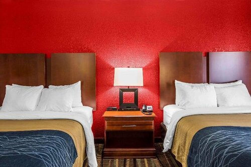 Comfort Inn Alpharetta-Atlanta North, Rezervasyon Otel Alpharetta Georgia