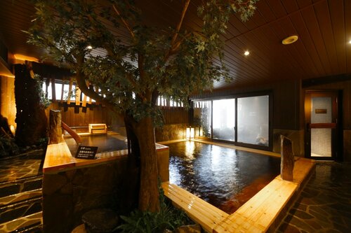 Dormy Inn Toyama Natural Hot Spring, Брондау Қонақ үй Toyama Hokuriku