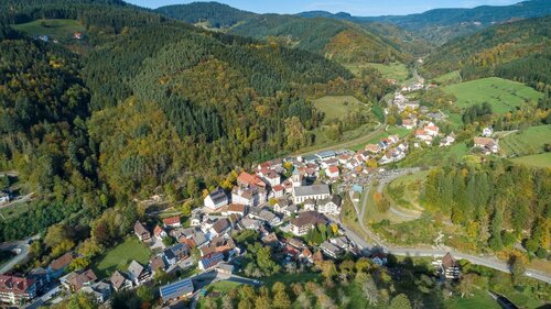 Mediclin Schlüsselbad Klinik, Réserver Hôtel Ortenaukreis Bade-Wurtemberg