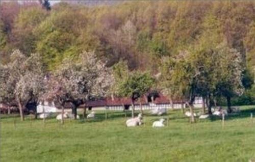 Ferme Auberge du Moulin des Sept Fontaines, Book Hostel / Vandrerhjem Hostels i Alsace, Hostel / Vandrerhjem