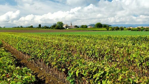 Le charme du prieuré, Book Hotel Hoteller i Vaud med parkering, Parkering