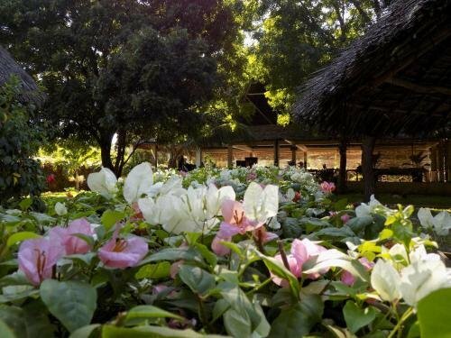 Watamu Eco Villas, Забронировать Дом для отпуска Ватаму Килифи
