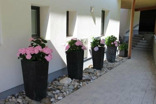 Ferienwohnung Birkenhof, Забронировать Отель Отели Вайсензе 4 звезды, 4*