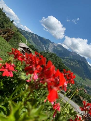 Ustria / Pensiun Trutg, Book Hotel Vella Surselva