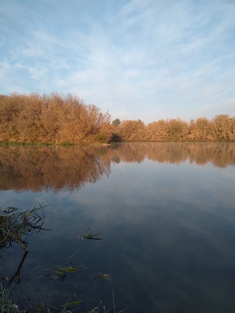 Старая мельница