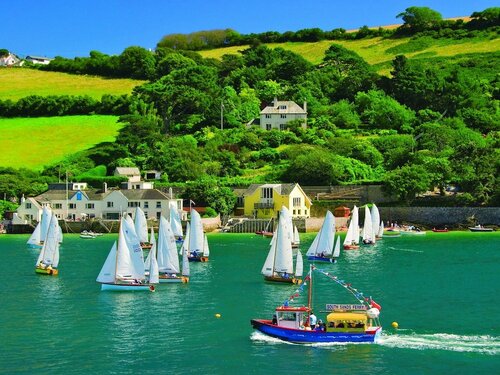 Dolphins, Buchen Sie Ferienhaus Salcombe Devon