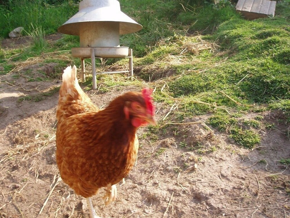 Providence Farm
