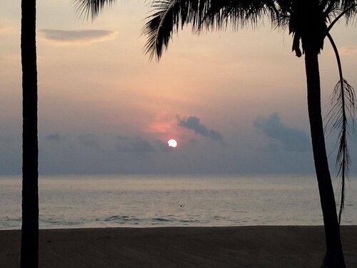 Chalet Tamu Pool View, Boek Chalet Tioman Pahang
