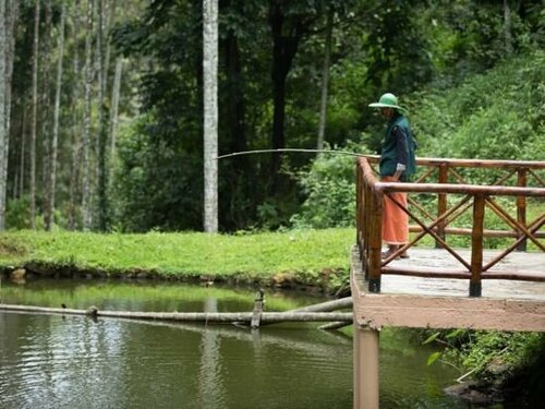 After the Rains - Rainforest Lodge, Забронировать Курортный отель Chithragiri 