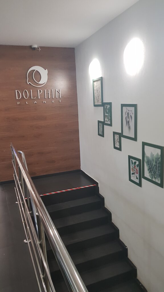 Dolphin Planet Hotel&SPA4
