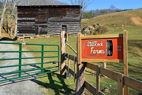 Still Rock Farms - 2 Br Cabin, Забронировать Дом для отпуска Уивервилл Аппалачи
