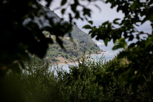 La Selva, Забронировать Гостевой дом Агрополи Cilento Coast