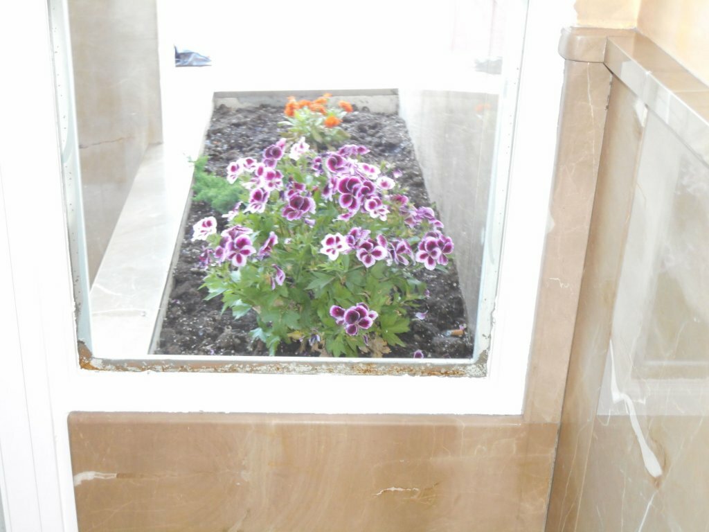 Martin House & Baño Privado