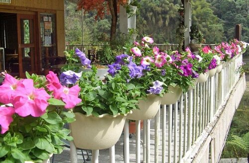 Sanhua B & B, Book Hotel Renshou Chiayi