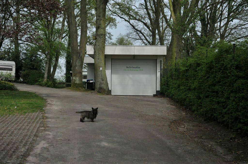 B&b Op de Brabantse Wal