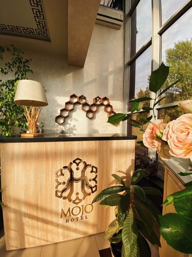 Mojo Hotel, Boek Hotel Vidnoje Leninsky District