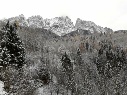 B&B DOLOMIA, Забронировать Отель «постель и завтрак» Сагрон-Мис Primiero